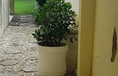 Imagem 5: Casa em Lauro de Freitas. Piscina, Churrasqueira, Varandae168m² de Área