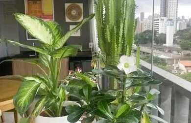 Imagem 8: Apartamento para Locação em Pinheiros 98 m², 2 Quartos, 1 Suíte, 2 vagas por R$ 10.000,00