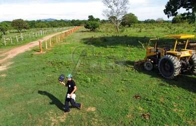 Imagem 15: Fazenda à Venda - 294 Alqueires Tocantins, na divisa com Goiás