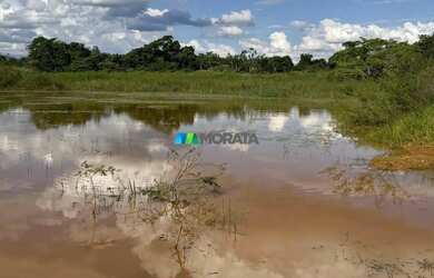 Imagem 7: FAZENDA À VENDA - 444 HECTARES - MORRO DA GARÇA MG