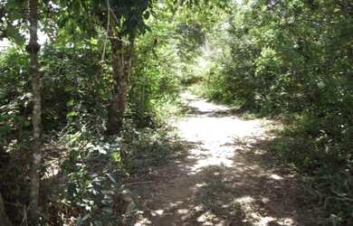 Imagem: A chácara está localizado em Jaboticatubas, MG à venda por