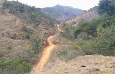 Imagem 8: Fazenda/Sítio/Chácara para venda com 78 alqueires em São Fidélis-RJ