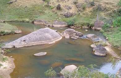 Imagem 3: Fazenda/Sítio/Chácara para venda com 78 alqueires em São Fidélis-RJ