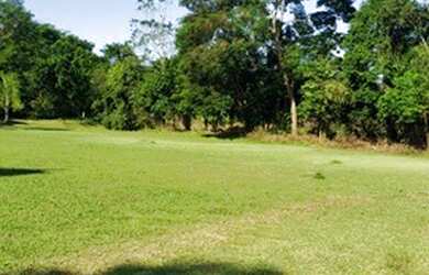 Imagem 11: LFerreira Imóveis. 5.000m² de Área