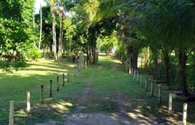 Imagem 5: LFerreira Imóveis. 5.000m² de Área