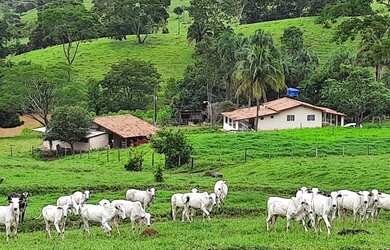 Imagem: A fazenda possui 172.000m² de Área, Varanda e está localizado