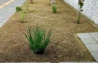 Imagem 3: Casa com 2 dormitórios à venda, 122 m² por R$ 350.000,00 - Balneário...