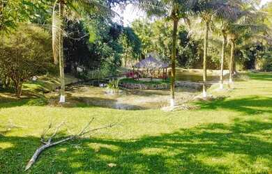 Imagem 12: Papucaia- Região Nobre- Fazendinha/ Haras Montado- Porteira Fechada