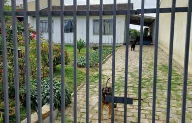 Imagem 2: Vendo Terreno em Araucaria