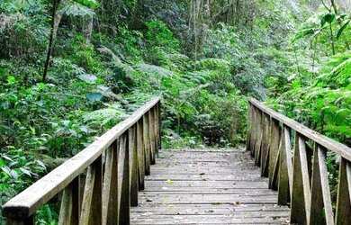 Imagem 15: Casa com 5 dormitórios, 824 m² - venda por R$ 12.000.000,00 ou aluguel...