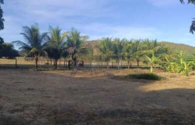 Imagem 3: Fazenda à Venda - 294 Alqueires Tocantins, na divisa com Goiás