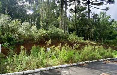 Imagem 4: Terreno - Bairro Dutra. Imóvel novoe450m² de Área