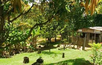 Imagem 11: Vende-se Chácara Completa com 8.700 m² de Natureza, Lazer e Sustentabilidade