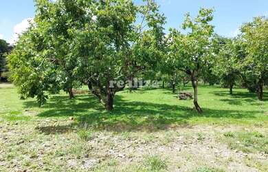 Imagem 2: TERRENO EM GRAMADO. 800m² de Área