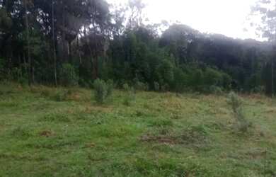 Imagem: A chácara possui 3.000m² de Área e está localizado em Colônia