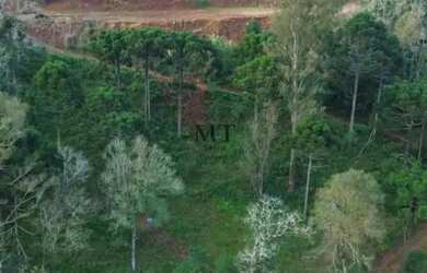 Imagem: A fazenda possui 80m² de Área e está localizado em Nova