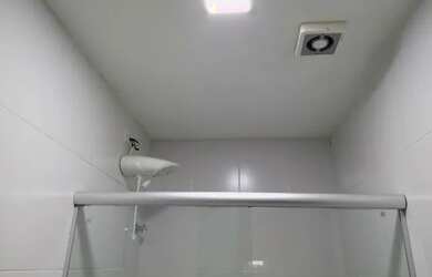 Imagem 9: Apartmento 2, quatos em. Piscina, Churrasqueira, Varandae62m² de Área