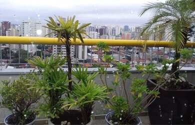 Imagem 5: Apartamento para venda com 194 metros quadrados com 4 quartos em Chácara Inglesa - São Pau