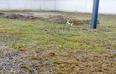 Imagem 6: Galpão para Locação em Mogi das Cruzes, Vila São Paulo, 2 banheiros