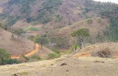 Imagem 2: Fazenda/Sítio/Chácara para venda com 78 alqueires em São Fidélis-RJ