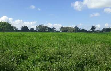 Imagem: A fazenda possui 96.000m² de Área e está localizado em Vera