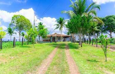 Imagem 2: 100 alqueires por R$6 milhões no Pará no asfalto