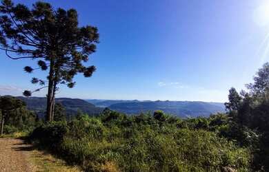 Imagem: A fazenda possui 15.867m² de Área e está localizado em Nova