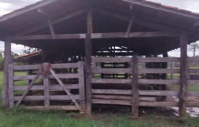 Imagem: A fazenda está localizado em Buritis, MG à venda por R$600.000