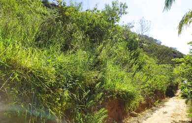 Imagem 3: Terreno 4mil m² à 3km de asfalto do centro de Marechal Floriano