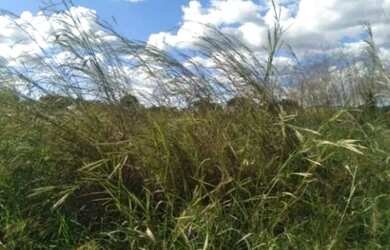 Imagem: O terreno possui 5m² de Área e está localizado em Loteamento