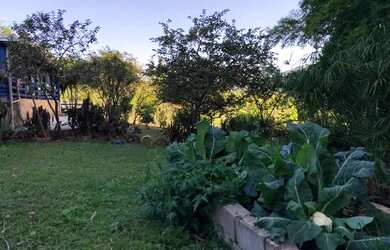 Imagem 15: Linda Fazenda de 57 hectares c/ muita água à venda em Piracema/MG