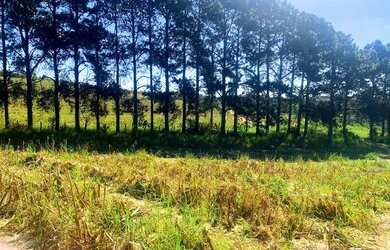 Imagem 12: Lote/Terreno para venda com 500 metros quadrados em Usina - Atibaia -...