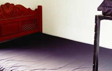 Imagem 15: Aluguel de Granja - Pirapetinga/Torreões