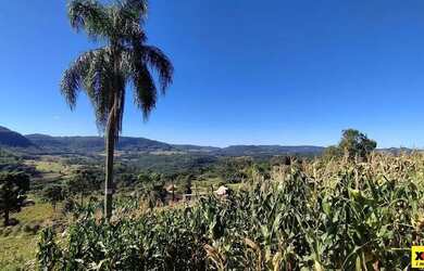 Imagem 4: Sítio / Chácara para Venda em Nova Petrópolis, Nove Colonias
