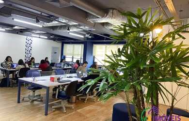 Imagem 3: COMERCIAL - PARAÍSO - SP