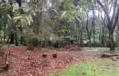 Imagem 10: Casa 2 dormitórios terreno de 3.695,68 m²