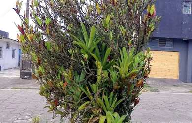 Imagem 5: SOBRADO 160M² - BALNEÁRIO RIVIERA