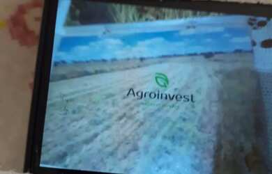 Imagem 7: A M IMOVEIS VENDE EXELENTE FAZENDA 180HECTARES NA CHAPADA GAUCHA EM BURITIS...