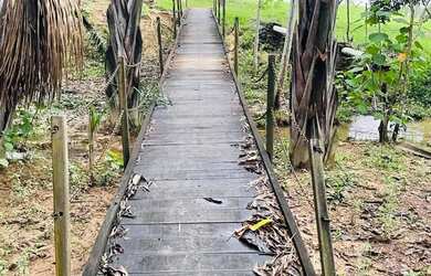 Imagem 13: Chácara de 8 alqueires em bela vista de Goias. 4 milhões avista