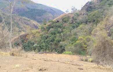 Imagem 7: Fazenda/Sítio/Chácara para venda com 78 alqueires em São Fidélis-RJ