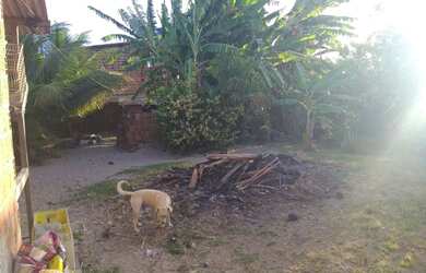 Imagem 1: vendo Terreno no Jiquiá. 337m² de Área