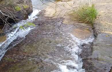 Imagem 4: Fazenda/Sítio/Chácara para venda com 78 alqueires em São Fidélis-RJ
