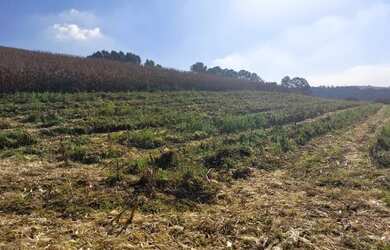 Imagem 3: Lote/Terreno para venda com 500 metros quadrados em Jardim Brasil - Atibaia...