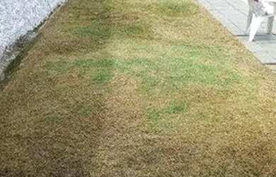 Imagem 2: Casa com 2 dormitórios à venda, 122 m² por R$ 350.000,00 - Balneário...