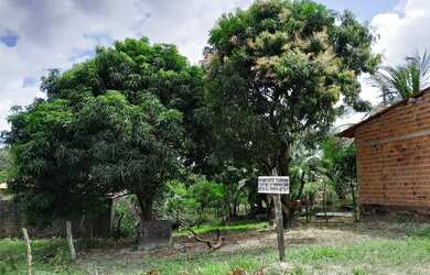 Imagem: O terreno possui 250m² de Área e está localizado em Fé