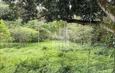 Imagem 13: Terreno à venda, 2026,66 m² por R$ 240.000 - Muriqui - Niterói/RJ