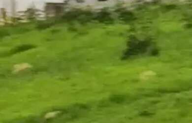 Imagem 11: AREA - TERRA PRETA - SP. 40.000m² de Área