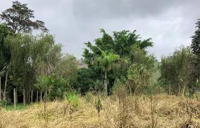 Imagem 3: Terreno mil metros em Itatiaiuçu