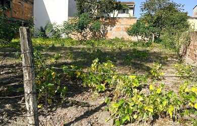 Imagem: O terreno possui 274m² de Área e está localizado em Carapebus