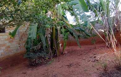 Imagem 8: Casa a venda Orlando Morais